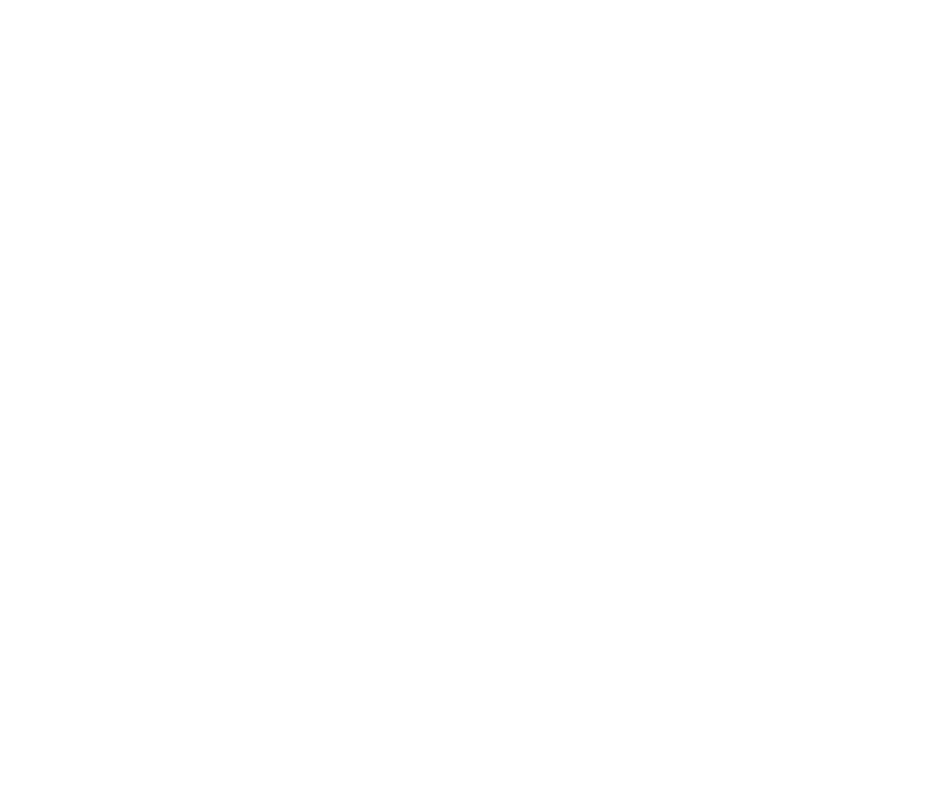 logo-TED-4