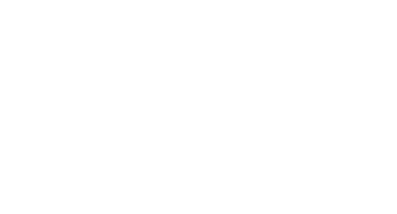 logo-OnlyOne-4